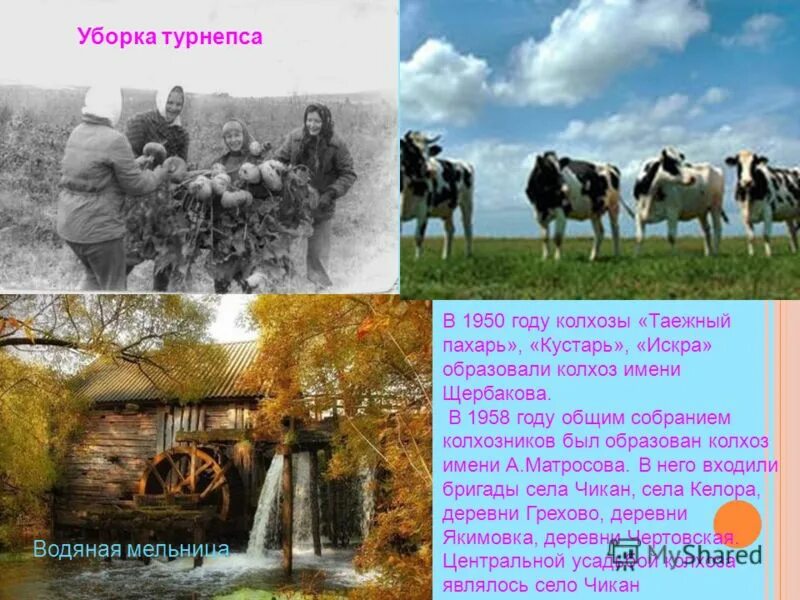 Колхоз пахарь. Презентация колхоза. сочинение на тему о колхозе. колхоз предложение. сообщение про колхозника 4 класса.