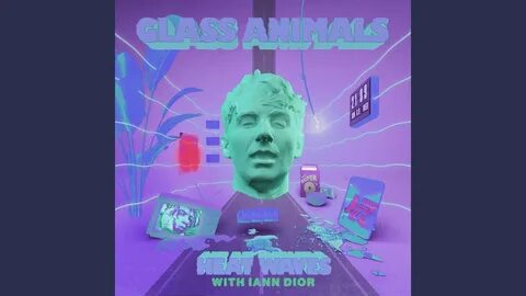 Glass animals heat waves