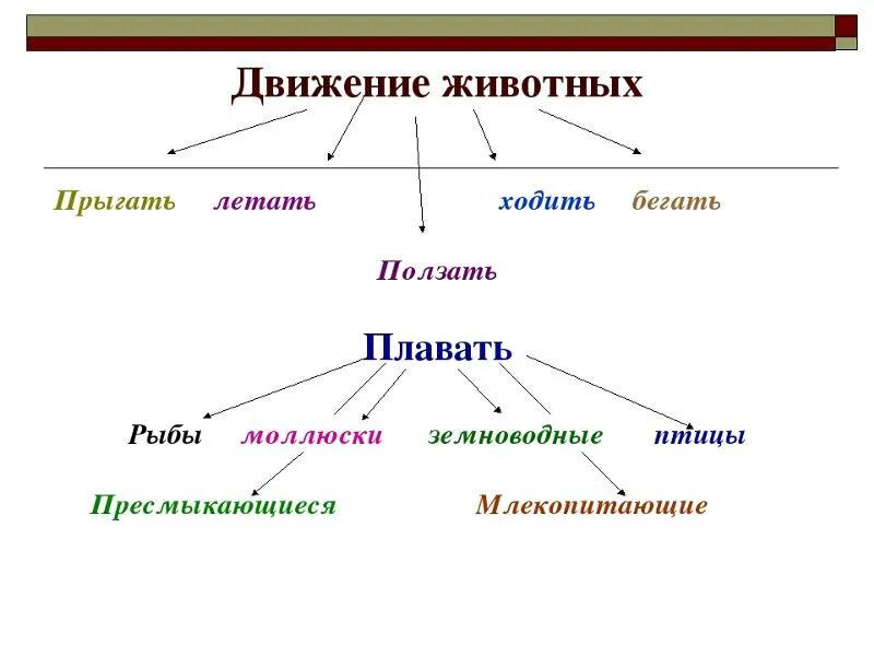 Движение 6 класс. Типы передвижения животных. Способы движения животных. Назовите способы передвижения животных. Способы движения животных таблица.