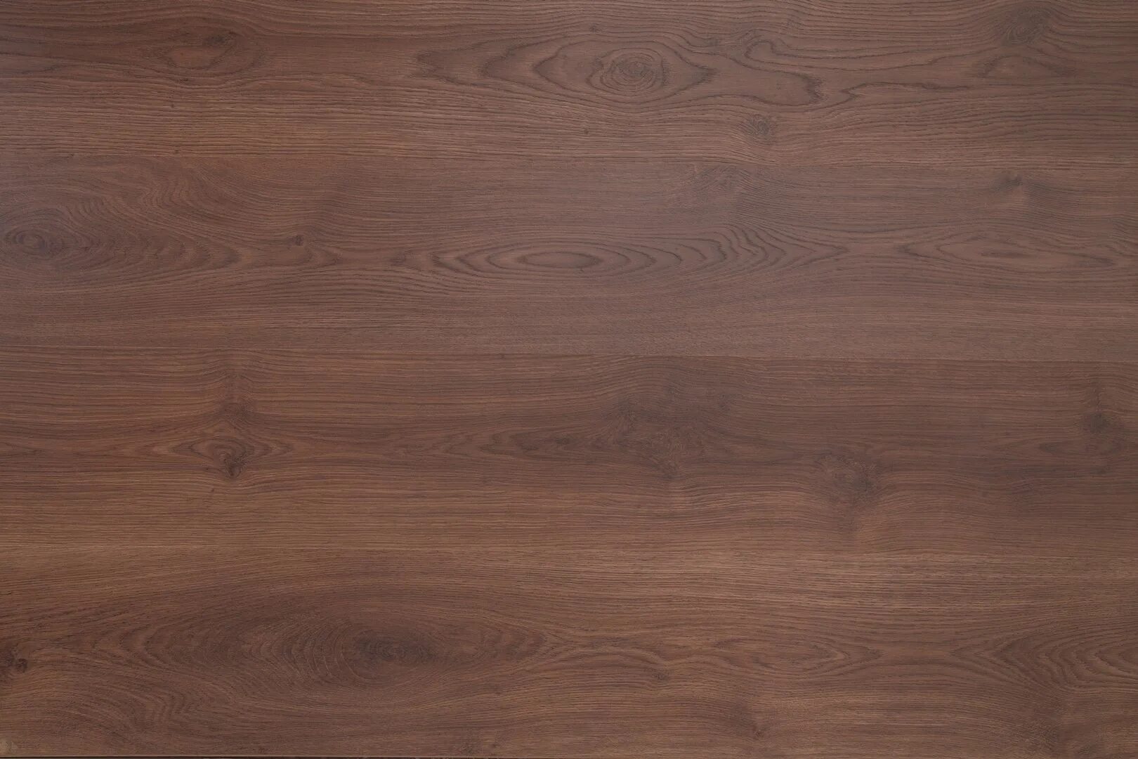 Махагон лдсп эггер. Каштан конский орех. Орех пекан кешью. Орех д н. Кария пекан carya illinoinensis.