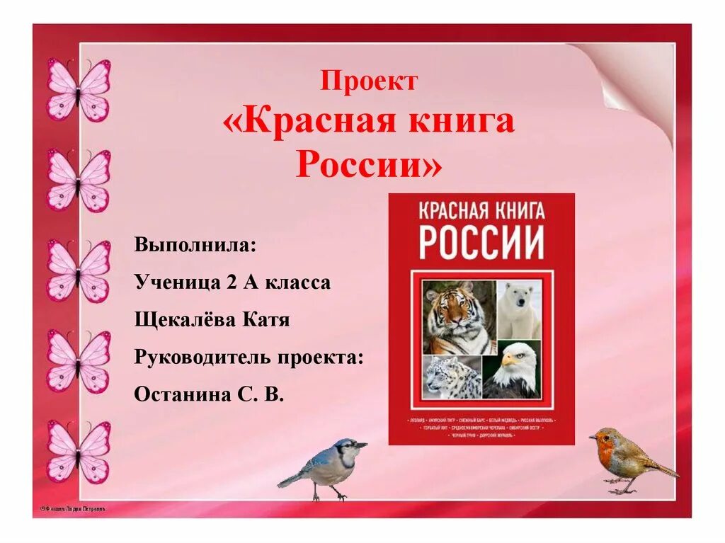 План проекта красная книга России. Проект проект красная книга. Содержание проекта красная книга. Проект красная книга 1 класс окружающий мир. Красная книга сценарий