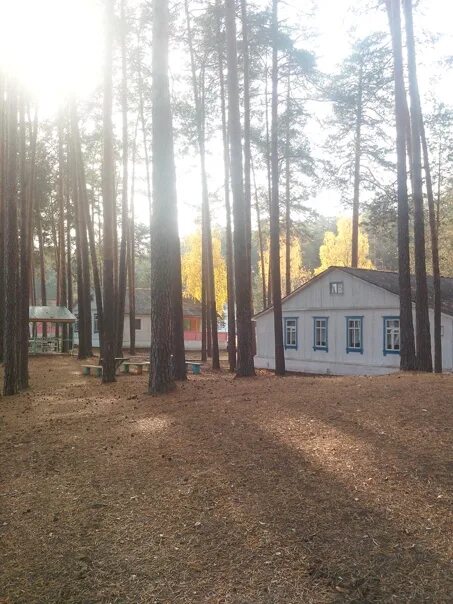Заброшенный лагерь гагаринец. Лагерь гагаринец пермский край. Лагерь гагаринец пермский край. Гагаринец лагерь. Лагерь гагаринец пермский край.