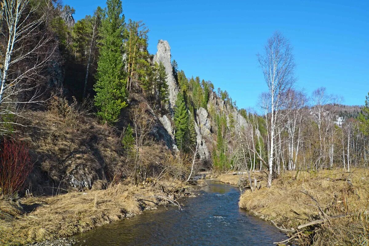 Река Куюм горный Алтай. Речка Каменка Алтайский край. Река Каменка Алтайский край. Каменка (приток Катуни). Погода алтайский край вторая каменка