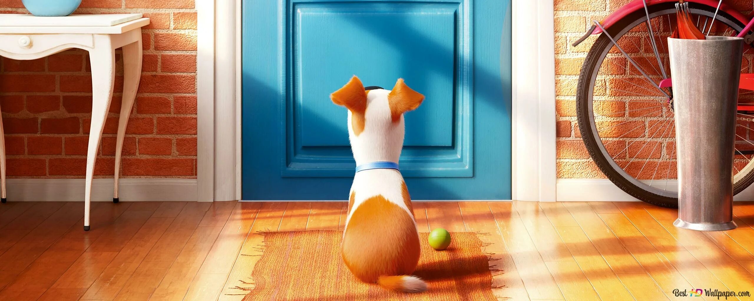 Тайная жизнь стс. The secret life of pets. жизнь домашних животных дверь. кофта белая тайная жизнь домашних животных. тай wallpaper ная жизнь домашних.