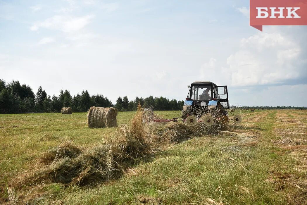 Заготовлять корма