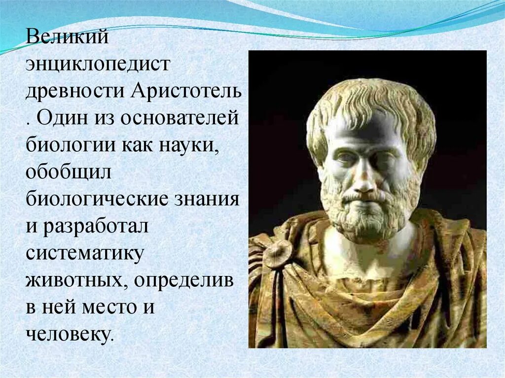 Ученый назвавший географии. Великий энциклопедист древности Аристотель. Аристотель основоположник биологии. Древнегреческий ученый Аристотель. Древняя Греция Аристотель.