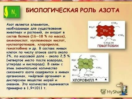 Вещества содержащие азот способствуют