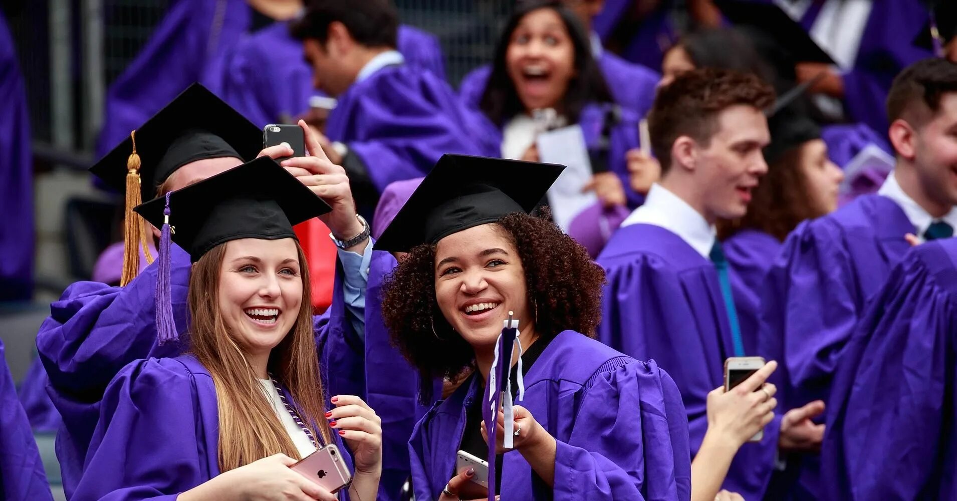 Graduating student is. Университет студенты. Студенты в Нью Йорке. Студенты фиолетовый.