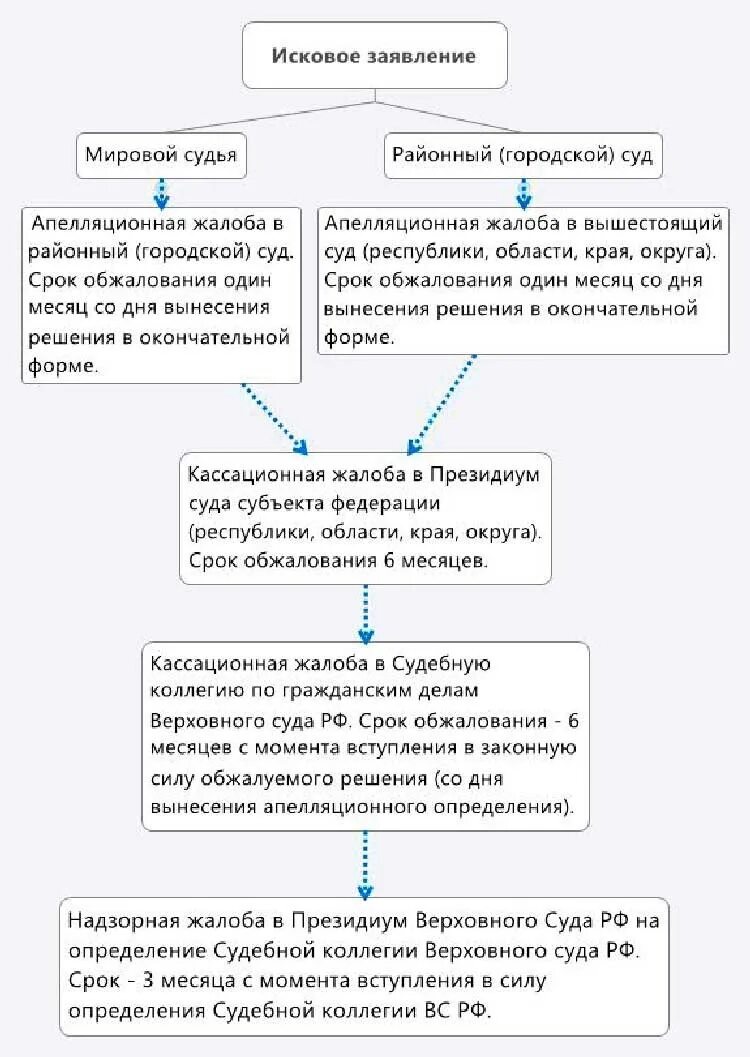 Процесс обжалования решения суда