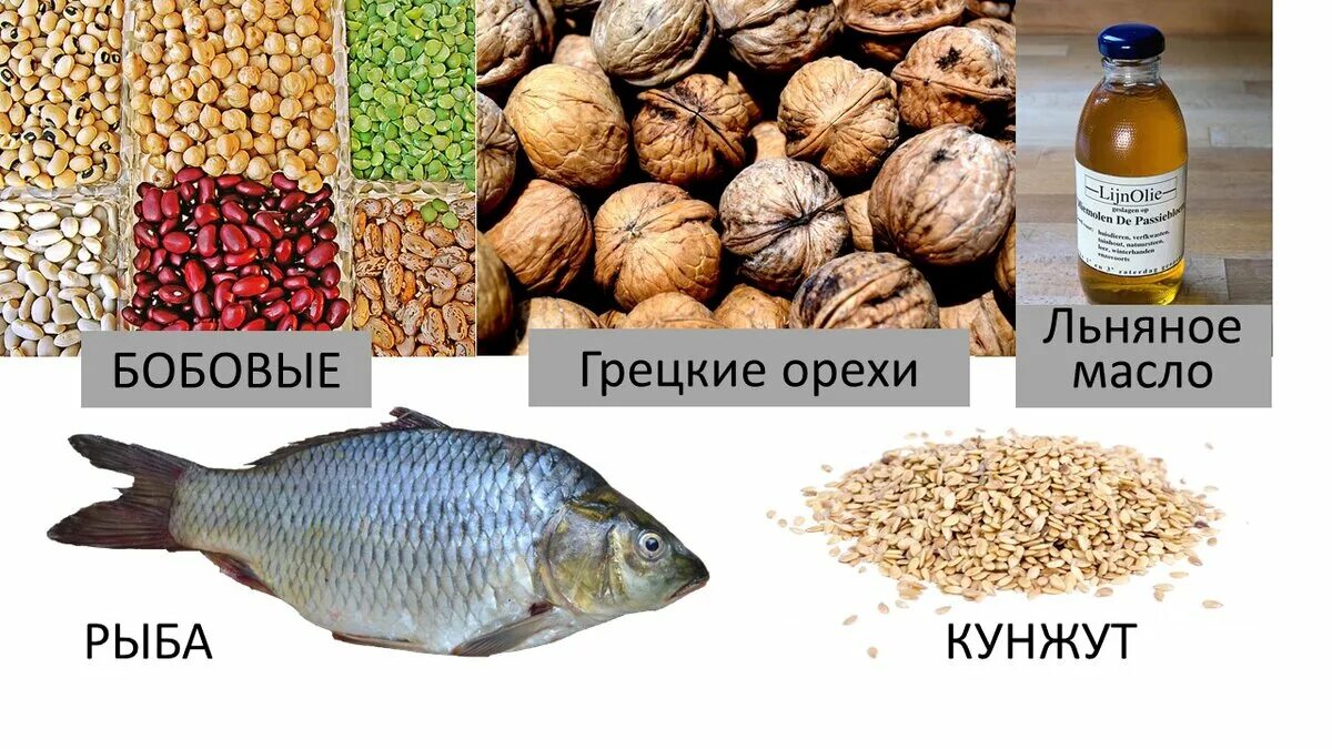 В какой рыбе содержится омега 3. Продукты богатые омега 3. омега 3 продукты грецкие. омега 3 в орехах. рыба и льняное масло.