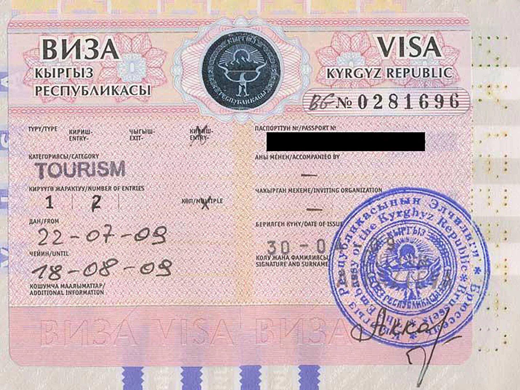 Visa как получить. Виза. Вейза. Туристическая виза. Виза Кыргызстан.