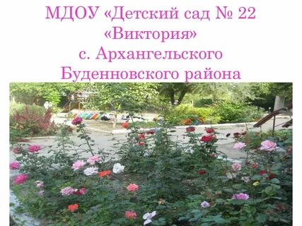 Погода в архангельском буденновского