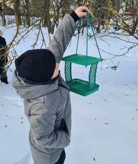 Акция кормушка для птиц в школе