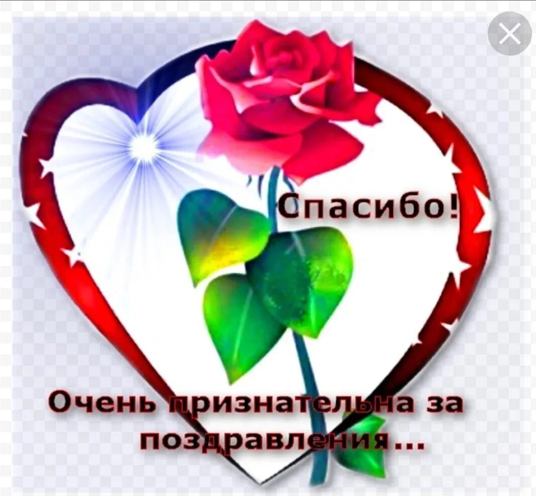 Спасибо дорогие коллеги за теплые слова. Благодарю за поздравления очень приятно. спасибки за поздравления. спасибо да поздравления. спасибо за поздравления очень приятно.