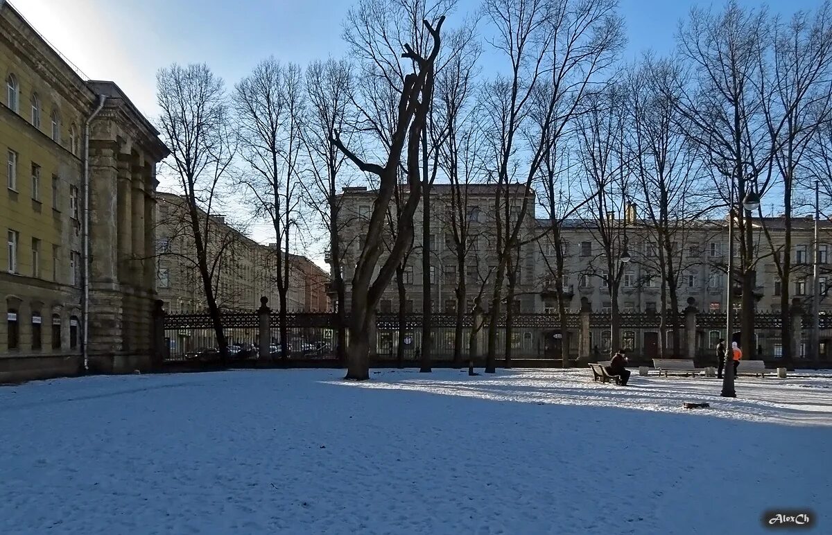 Парк Олимпия Санкт-Петербург. Сад Олимпия СПБ. Сквер Олимпия в СПБ Московский проспект. Олимпия сад СПБ фото.