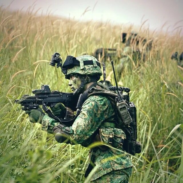 Dts army. Dts army