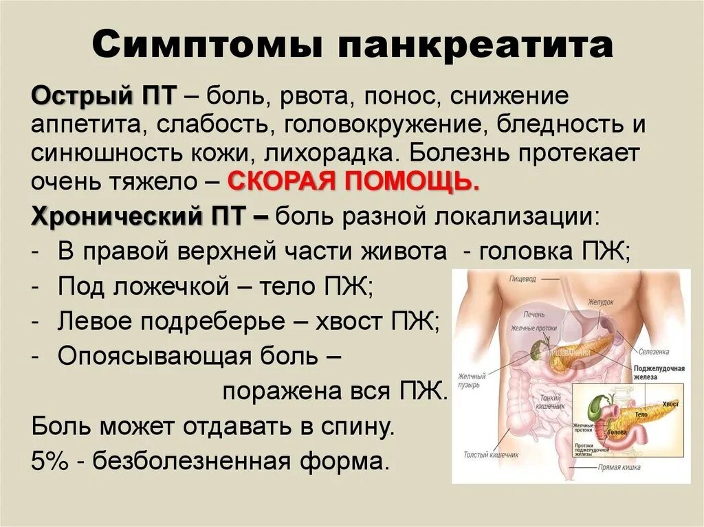 Причины панкреатите поджелудочной железы. Патологии поджелудочной железы. Осложнения при остром панкреатите. Протоковая система поджелудочной железы. Вирсунгов проток анатомия.