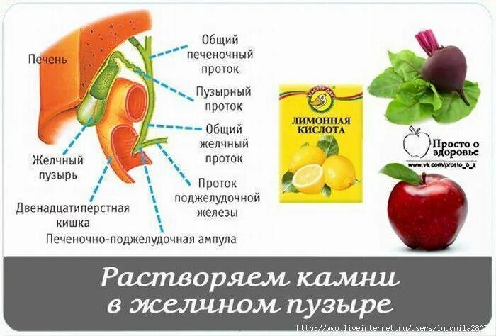 Продукты полезные для желчного пузыря. Желчегонные продукты. Желчегонные фрукты. Желчегонные продукты при застое желчи.