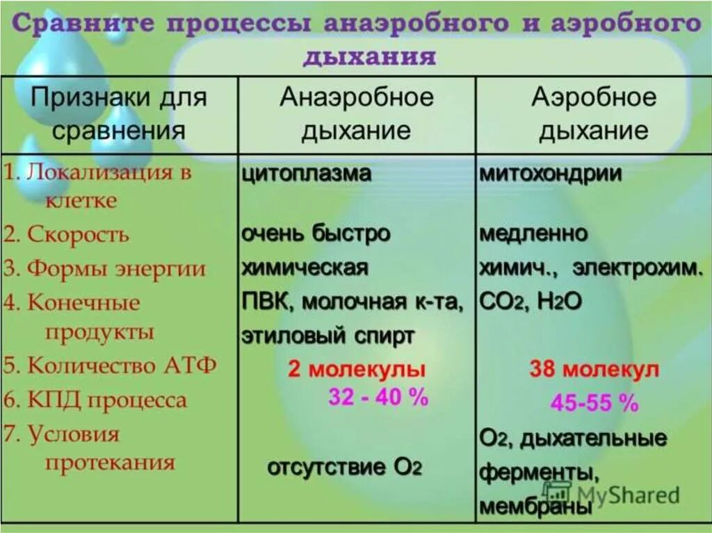 Сравнение процессов брожения и дыхания 10 класс. Аэробное и анаэробное дыхание. сравнение аэробного и анаэробного дыхания. сравните процессы аэробного и анаэробного дыхания. анаэробные и аэробные процессы дыхание.