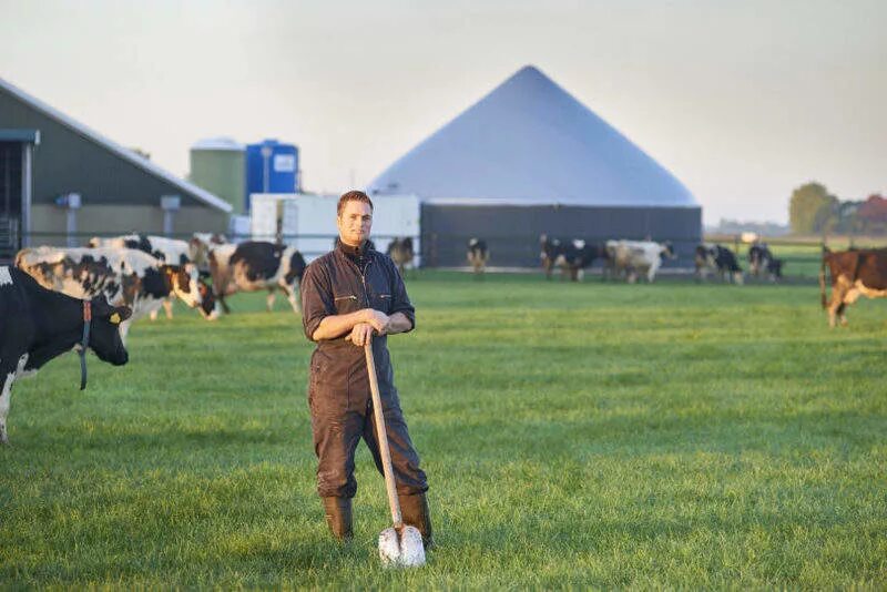 Мажоры на ферме. Нидерланды фермы фото. Mondelice FRIESLANDCAMPINA. 3 Dutch Farmers.