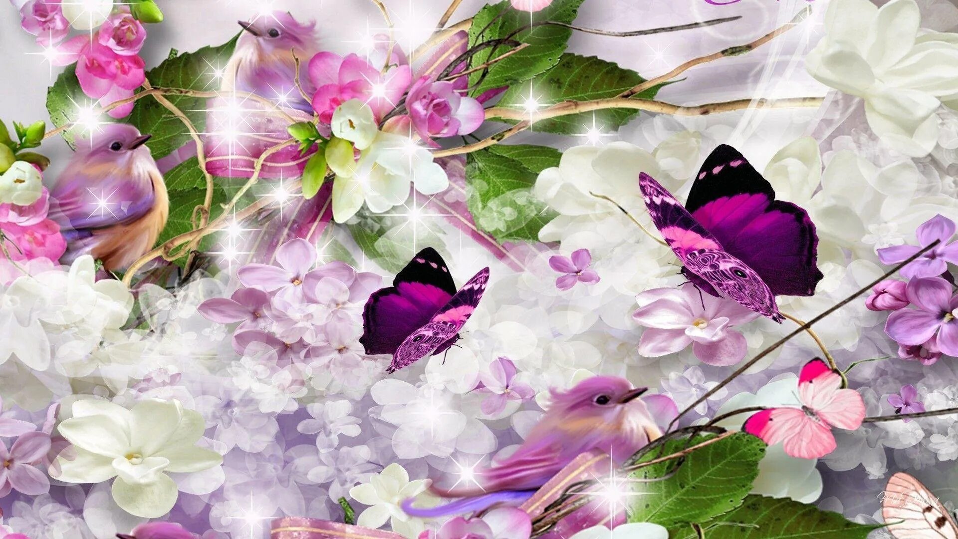 Живые весенние обои на телефон. Фон бабочки. Бабочка на цветке. Картинки на рабочий стол бабочки. Фотообои бабочки.