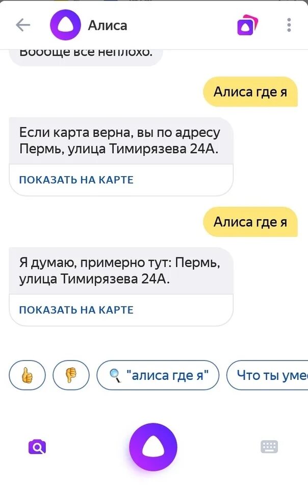 Алиса где начинается. Где Алиса где. Популярные вопросы Алисе. Алиса где я. Где Алиса Алиса где.