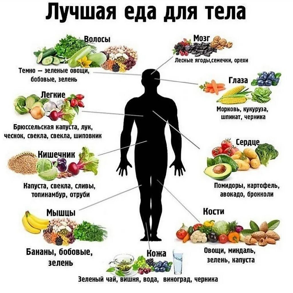 Овощи необходимые организму. Фрукты и овощи полезны для здоровья. Самые полезные продукты. Полезная еда для организма. Список полезных продуктов питания.