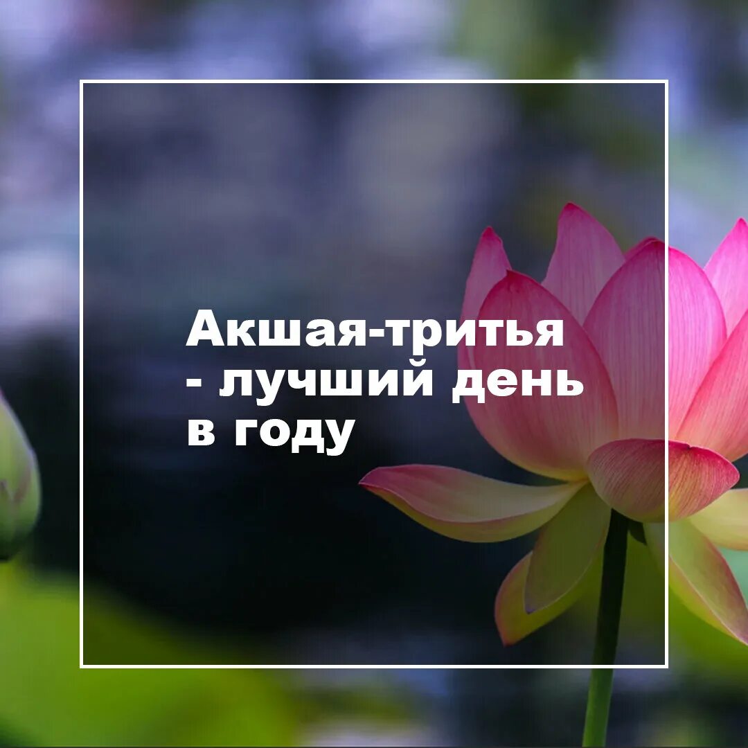 Акшая тритья 2025 джйотиш. День акшая тритья в 2025. акшая. акшая тритья 2025. акшая тритья 2025.
