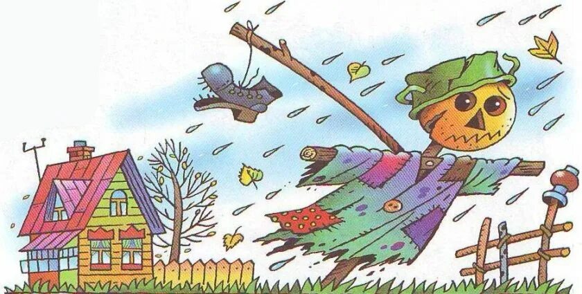 Полоть значение