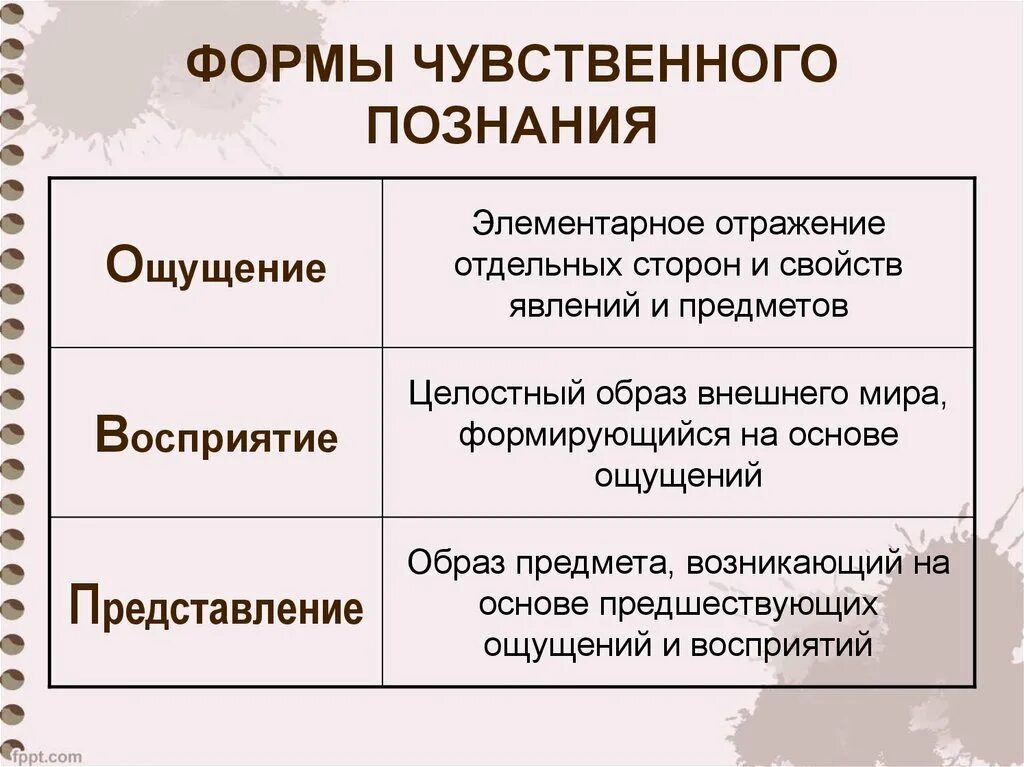 3 виды познания. Формы чувственного познания. Ощущение это форма чувственного познания. Представление это форма чувственного познания. Чувственное познание представление.