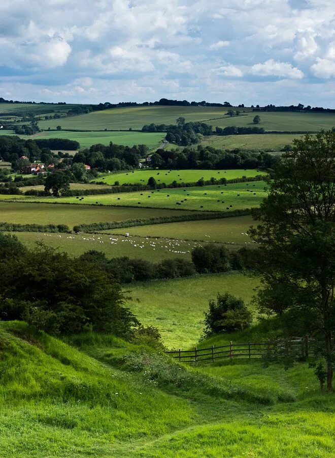 Линкольншир англия. Графство линкольншир. Графство линкольншир англия. Линкольншир. Графство линкольншир англия.