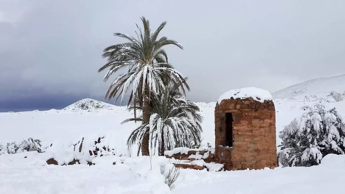 Снег в африке. Зима в африке. Snow in africa. Африка зимой. Африка зимой.
