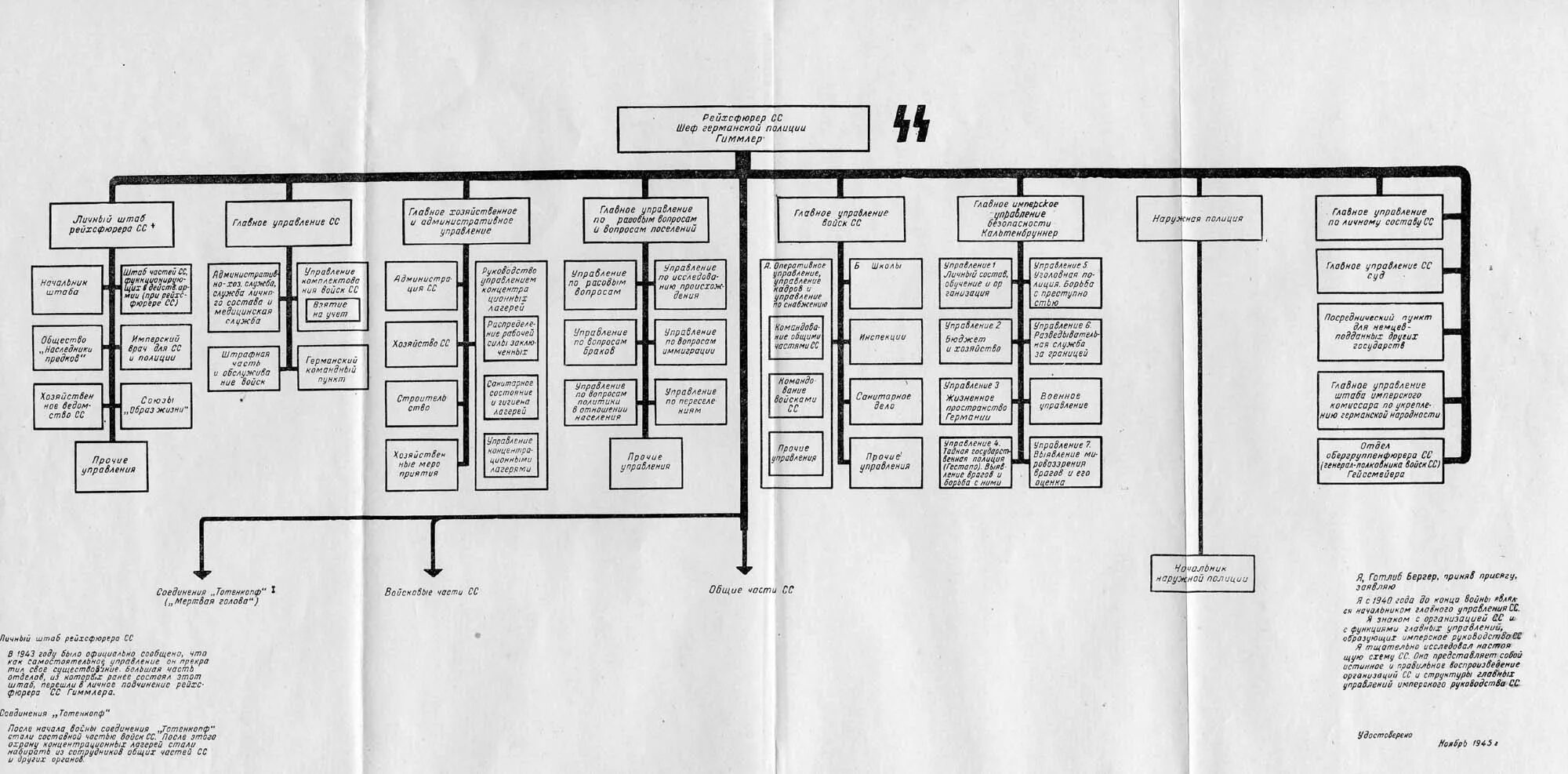 Управление сс. Схема власти в третьем рейхе. Структура органов власти третьего рейха. Структура руководства третьего рейха. Структура РСХА третьего рейха схема.