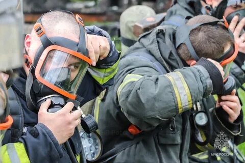 Структура газодымозащитной службы