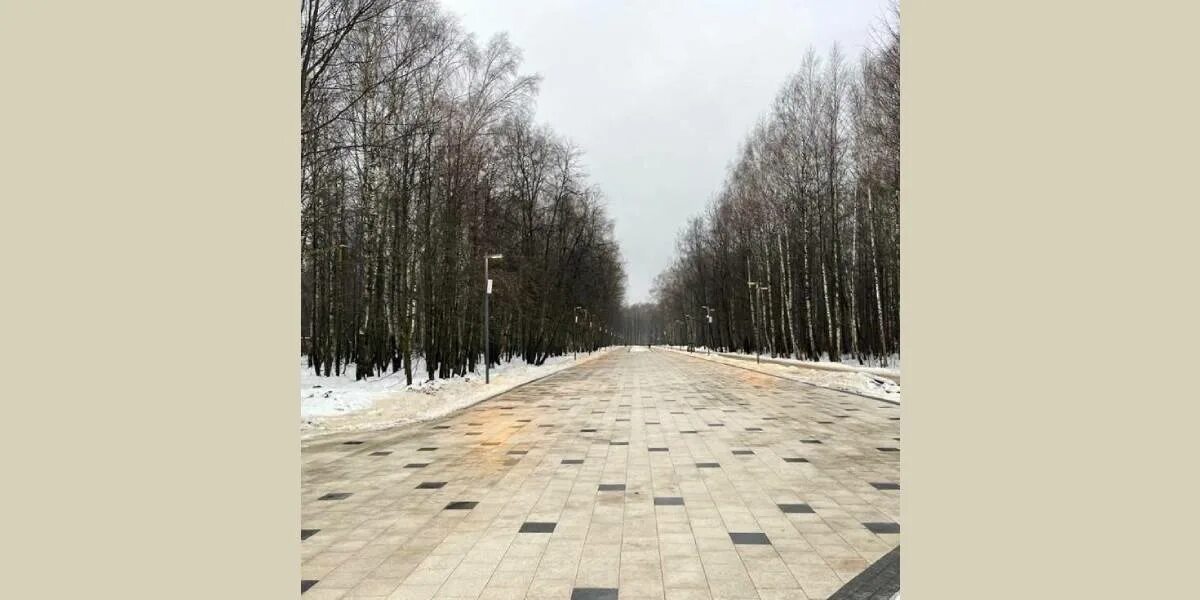 Авангард парк электросталь беседки. Садовый центр авангард электросталь. Экопарк электросталь. Аура электросталь авангард. Горка авангард электросталь.