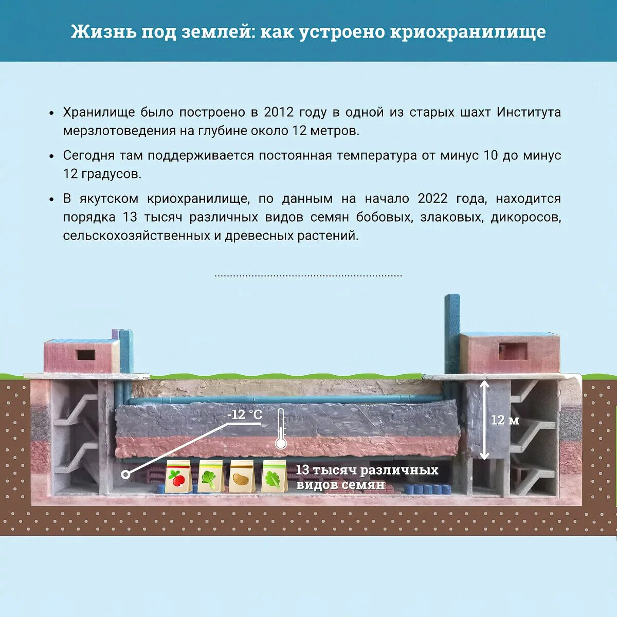 Где находится хранилище семян. Хранилище судного дня внутри. хранилище судного дня проект презентация. сссровское хранилище судного дня. сообщение: хранилище судного дня.