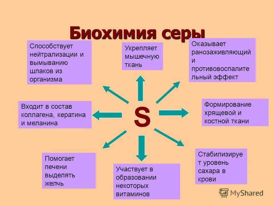 Основная функция текста. Функции которые выполняет желчь. Функции желчи кратко. Двигательный нейрон функции. Какую функцию выполняется.
