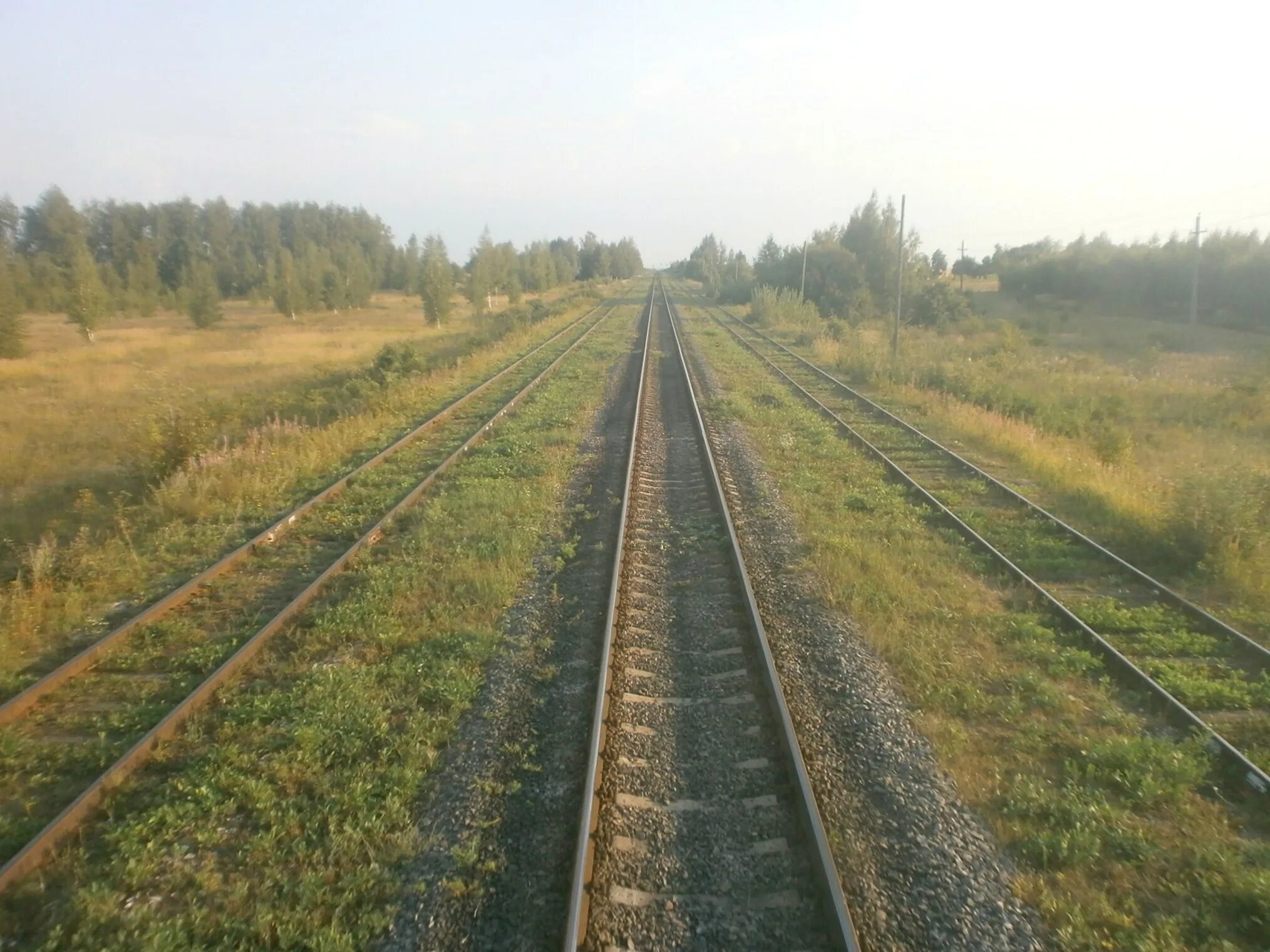 Рязань биркино. Станция Вослебово Скопин. Вослебово - ГРЭС. Вослебово станция ЖД. Станция Биркино.