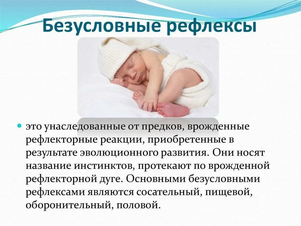 Безусловный рефлекс это. Безусловные рефлексы. Безусловне рефлексыэтт. Безусловный рефлекс это. Безусловный рефлекс это.