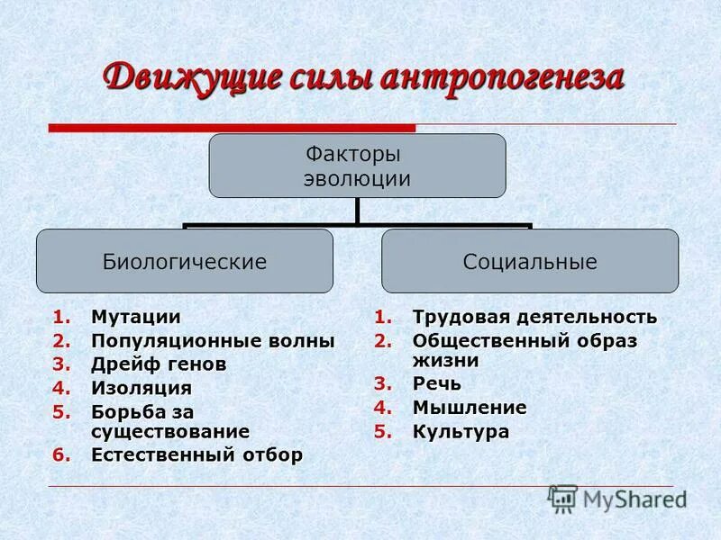 Социальные факторы список. Факторы движущие силы антропогенеза схема. Движущие силы факторы антропогенеза. Движущие силы антропогенеза биология 11 кл. Биологические и соц факторы антропогенеза.