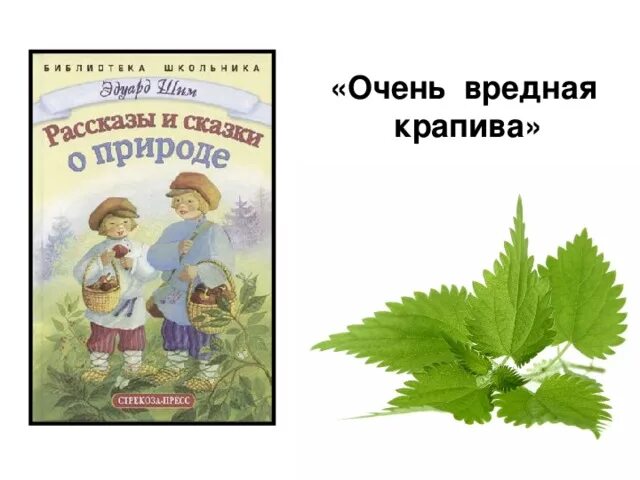 Красота текст шим. Э ШИМ очень вредная крапива. Э Шима очень вредная крапива для подготовительной группы. Иллюстрации очень вредная крапива.