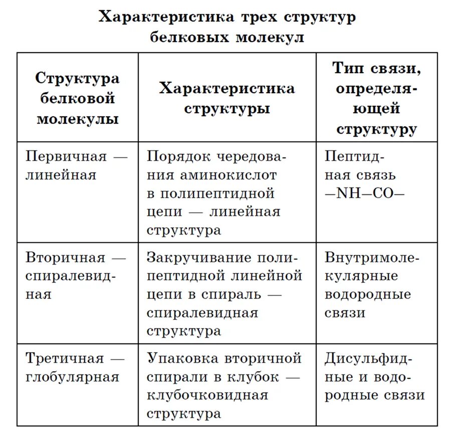 Таблица структура белка характеристика структуры. Характеристика структур молекул белка таблица. Таблица структура белка характеристика структуры белковой молекулы. Характеристика 4 структур белка.