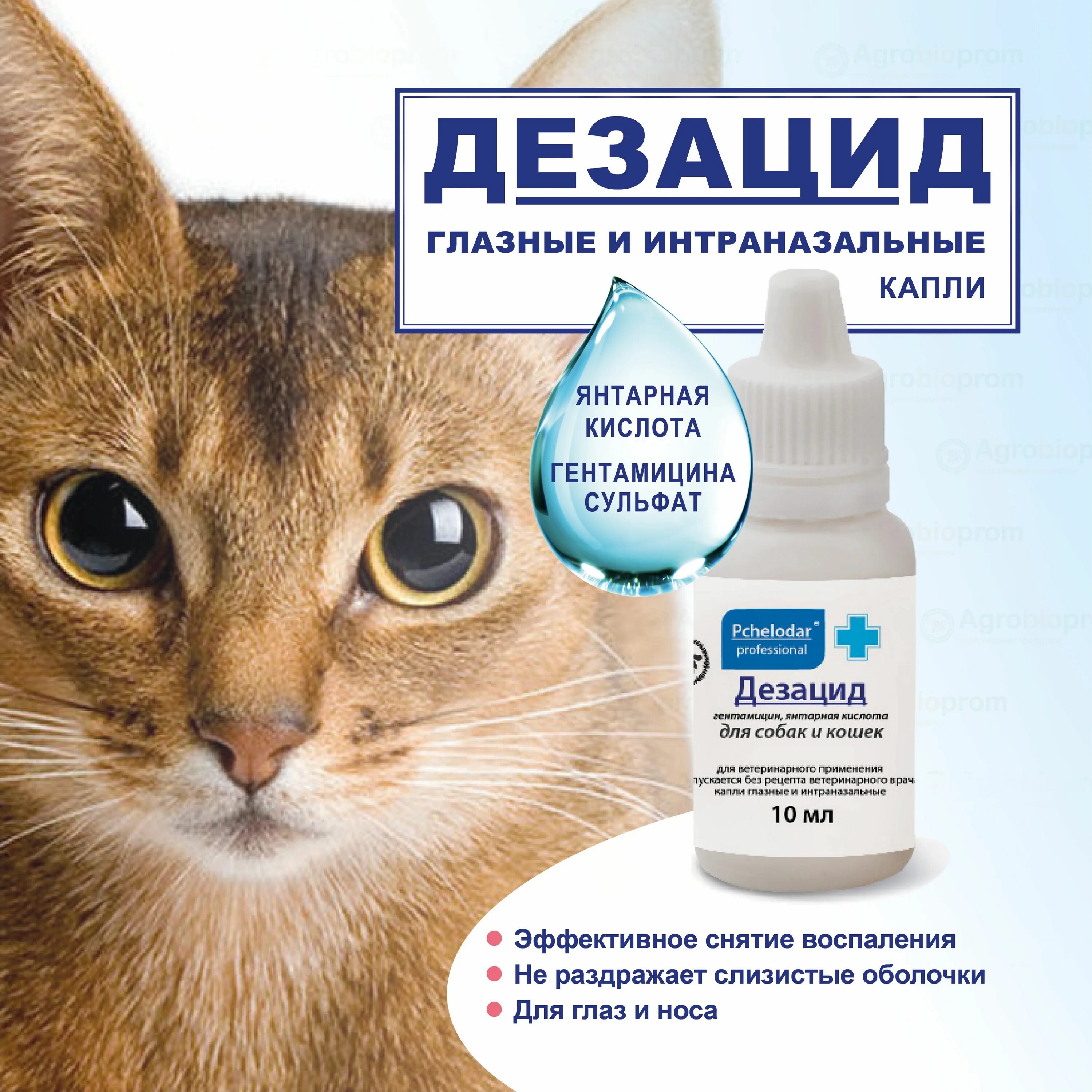 Пчелодар капли глазные. Дезоцид. Дезацид капли. Дезацид капли для собак. Дезоцид.