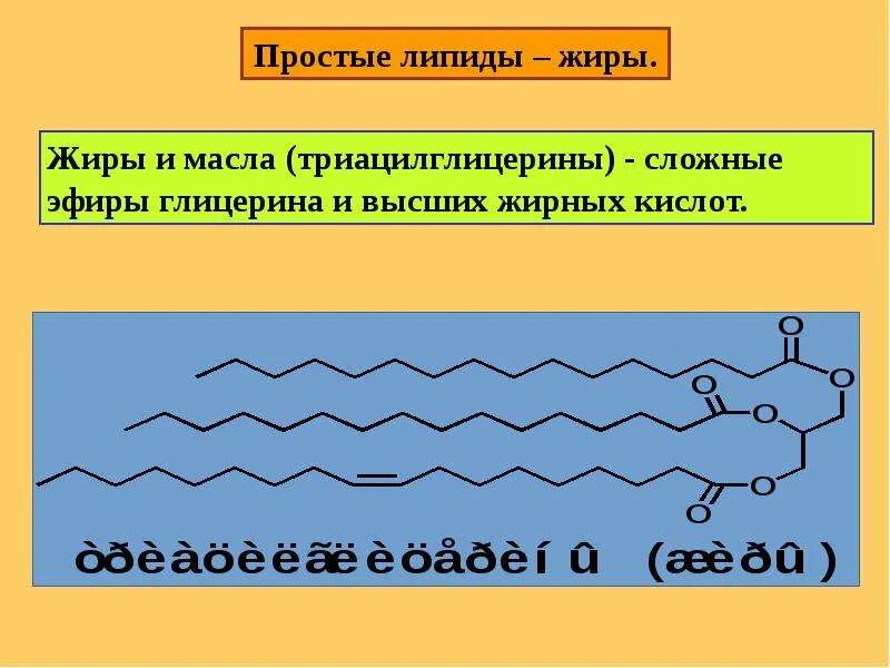 Защитный липид. Химическая формула липидов. Простые липиды воски триацилглицерины жиры и масла церамиды. Триацилглицерины (жиры, масла). Триацилглицерин простые липиды.