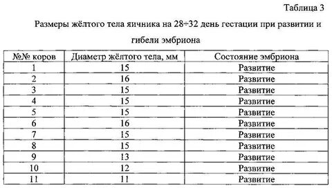 Размеры желтого тела при беременности на ранних