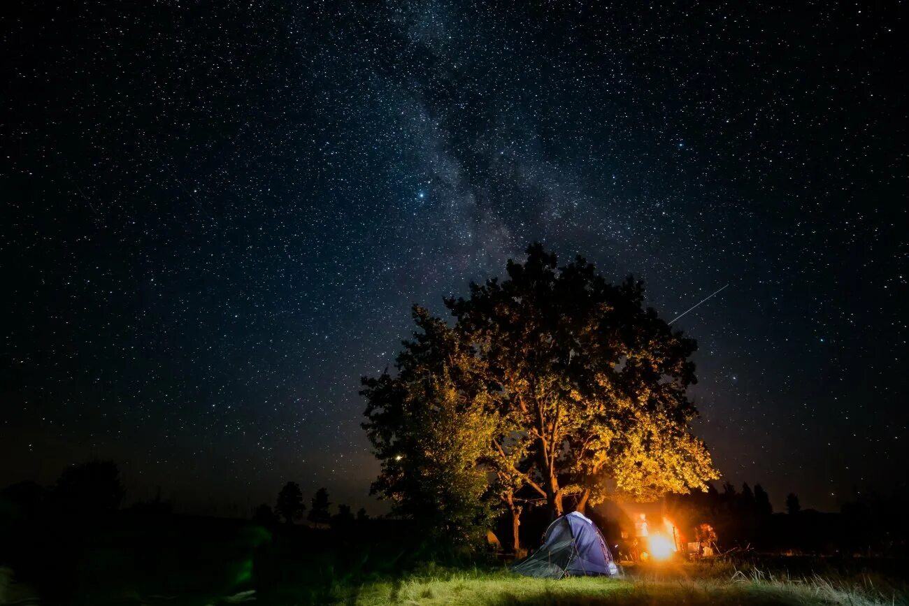 Августовское ночное небо. Звездопад. Звездопад фото. Ночь звезды Калейдоскоп.