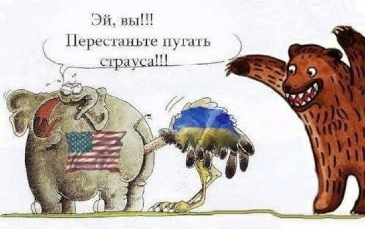 Перестаньте дразнить