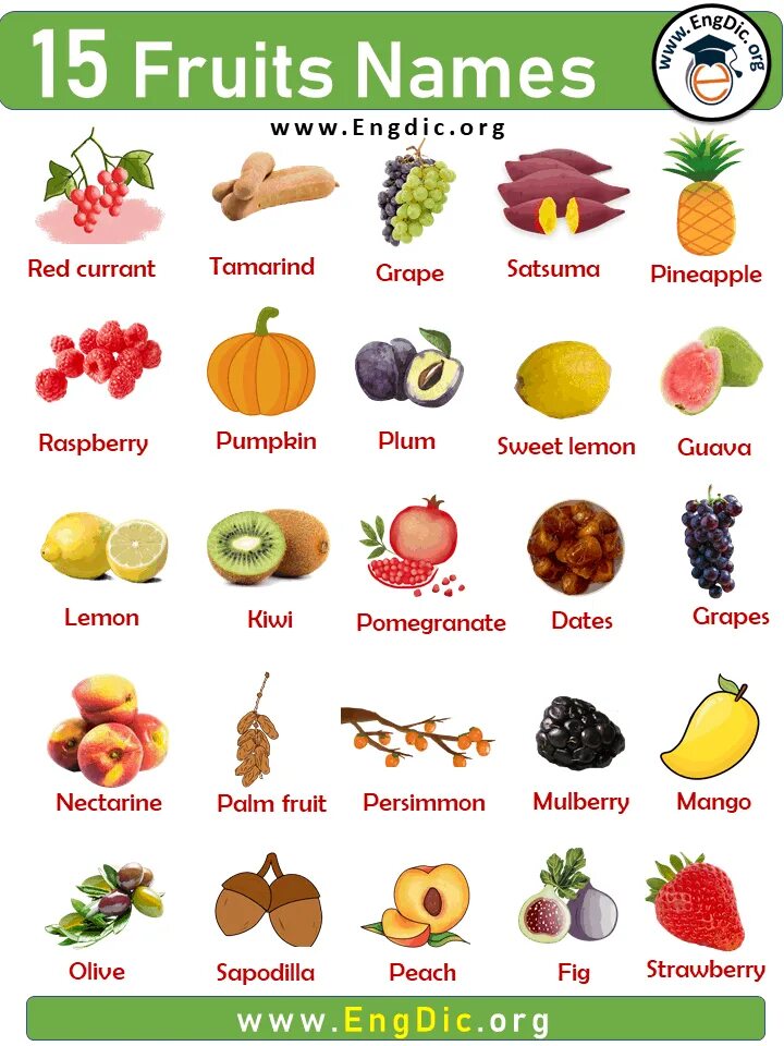 Полный список фруктов. Fruit names. Fruit te names. Фрукты имена. Fruits list.