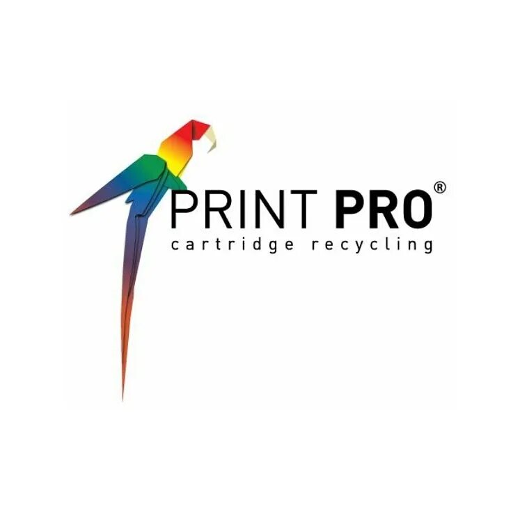 Пропринт. Принт. Про-принт Москва. Pro Print. Printing Pro logo.