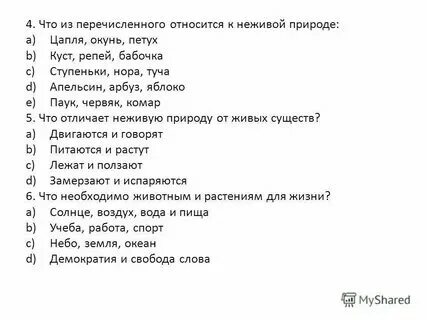 Что из перечисленного является стереотипным. Что из перечисленного является стереотипным